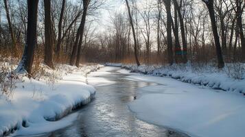 Winter's tranquil stream winding through snowy woods. photo