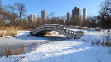 Snowy park scene with an arched stone bridge over a frozen pond. photo