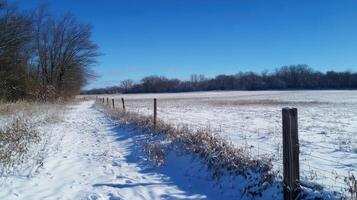 Snowy path through a rural field on a sunny winter day. photo