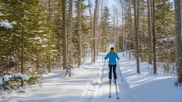 Winter trail scene with a person cross-country skiing. photo