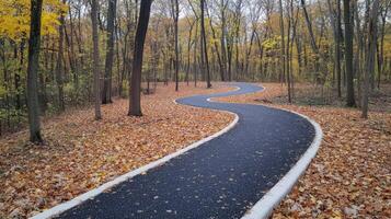 A paved path in the woods with leaves on the ground photo