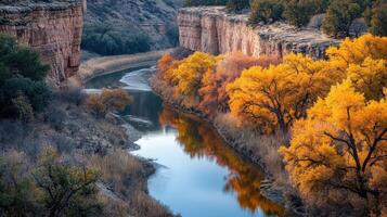 Autumnal canyon river reflecting golden trees. photo