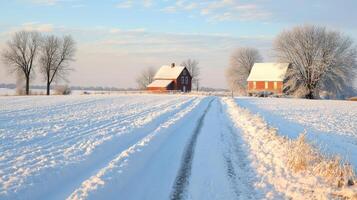 Rustic winter scene of snow-covered farm road. photo