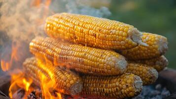 Golden corn on the cob roasting over flames photo