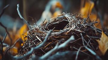 Close-up view of a rustic bird's nest nestled among fallen leaves. photo
