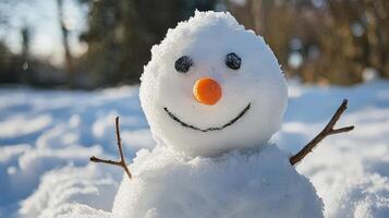 Close-up view of a cheerful snowman in winter. photo