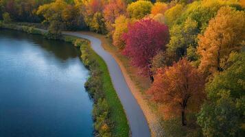 Aerial view of a winding path through colorful autumn foliage near a lake. photo