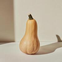 A single, light beige squash, beautifully presented against a neutral backdrop. photo