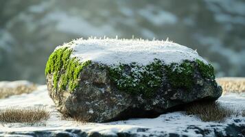 A frosty, moss-covered rock in winter sunlight. photo