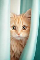 Mischievous orange cat exploring colorful curtains with curious eyes photo