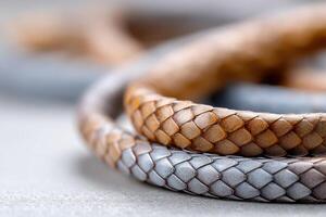 Smooth snake skin with captivating texture displayed in colorful arrangement with empty space for text photo