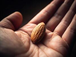 Capturing a single almond in the palm soft diffused lighting emphasizing scale and human touch photo