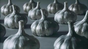 Artistic exploration of silver garlic heads in a grid layout neutral gray background conceptual photography photo