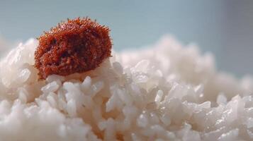 Close-up View of Delicious Sticky Rice with Unique Savory Topping, Perfect for Asian Cuisine and Culinary Photography photo