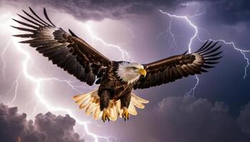 Majestic eagle soars through stormy skies with lightning and dark clouds, symbolizing freedom and strength in nature's fury photo
