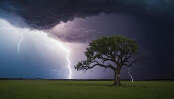 Dramatic Thunderstorm Over Isolated Tree in Open Field with Lightning Strikes and Dark Storm Clouds photo
