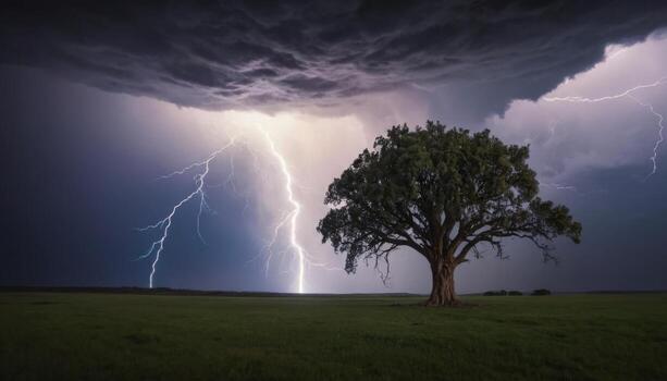 Majestic solitary tree under dramatic stormy sky with striking lightning in a vast green field, nature's powerful display photo