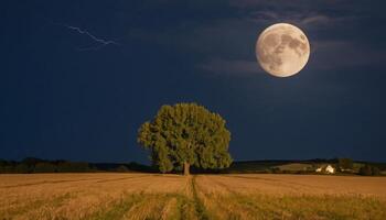 Majestic Full Moon Over Serene Landscape with Tree and Dramatic Lightning Strikes in the Night Sky photo
