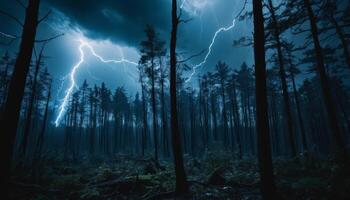 Dramatic Lightning Strikes in Dark Forest at Night Surrounded by Tall Trees with Ominous Clouds and Atmospheric Tension photo