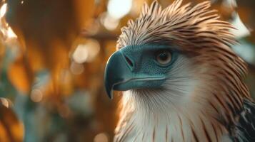 Majestic eagle perched among vibrant foliage, showcasing striking feathers and intense gaze in a natural setting photo