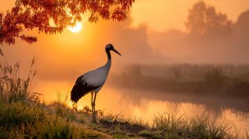 Elegant crane standing by misty river at sunrise, surrounded by warm colors and tranquil landscape scenery in nature photo