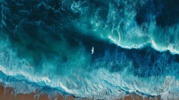 Aerial View of Serene Ocean Waves with Single Seagull Gliding Over Turquoise Water and Sandy Beach Shoreline Below photo