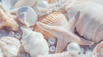 A close-up of various seashells starfish and pearls photo