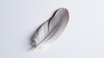 A feather on a white surface with a copy space photo