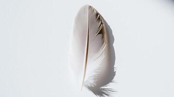 A white feather on a white surface photo