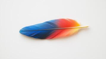 A colorful feather on a white surface photo