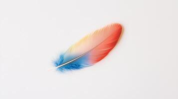 A colorful feather on a white background photo