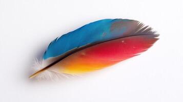 A colorful feather on a white surface photo