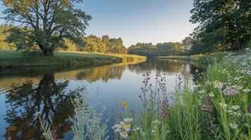 A river with flowers and trees in the background photo