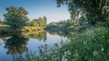 A river with a bridge and trees in the background photo