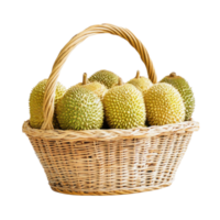 Durians in a woven basket on transparent background png