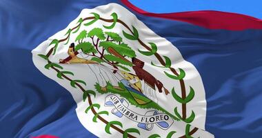 Belize flag waving at wind in slow with sky loop video