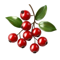 Ripe Miracle Berry Isolated on Transparent Background png
