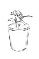 Cucumber sprout in plastic seedling pot vector