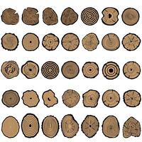 Tree rings of different sizes and shapes. set of tree rings. vector