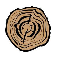 Cross section of tree trunk with annual rings. Tree growth rings. vector