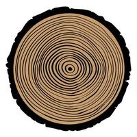 Tree rings on a white background. illustration for your design. vector