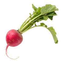 Top view, Akakabu, red turnip, isolated on a transparent background png