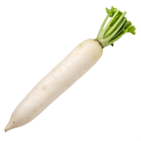 Top view, Moriguchi Daikon, isolated on a transparent background png