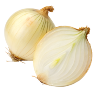 Tamanegi, Japanese onion, isolated on a transparent background png