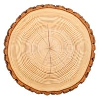A detailed cross-section of a tree trunk with visible rings. isolated on transparent background png