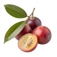 Camu Camu and slice isolated on transparent background png
