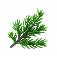 3d Fir tree branch displaying lush green needles, isolated against transparent surface, highlighting winter forest detail png