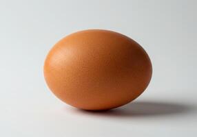 An egg on a white background photo