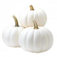 Three small white pumpkins forming brown stems with a pyramid background are isolated on a transparent shape png