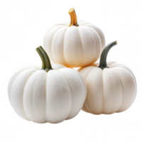 Three small white pumpkins with brown stems shape a pyramid forming are isolated on a transparent background png